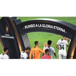 Furacão arrasou na altitude de Cochabamba pela Libertadores